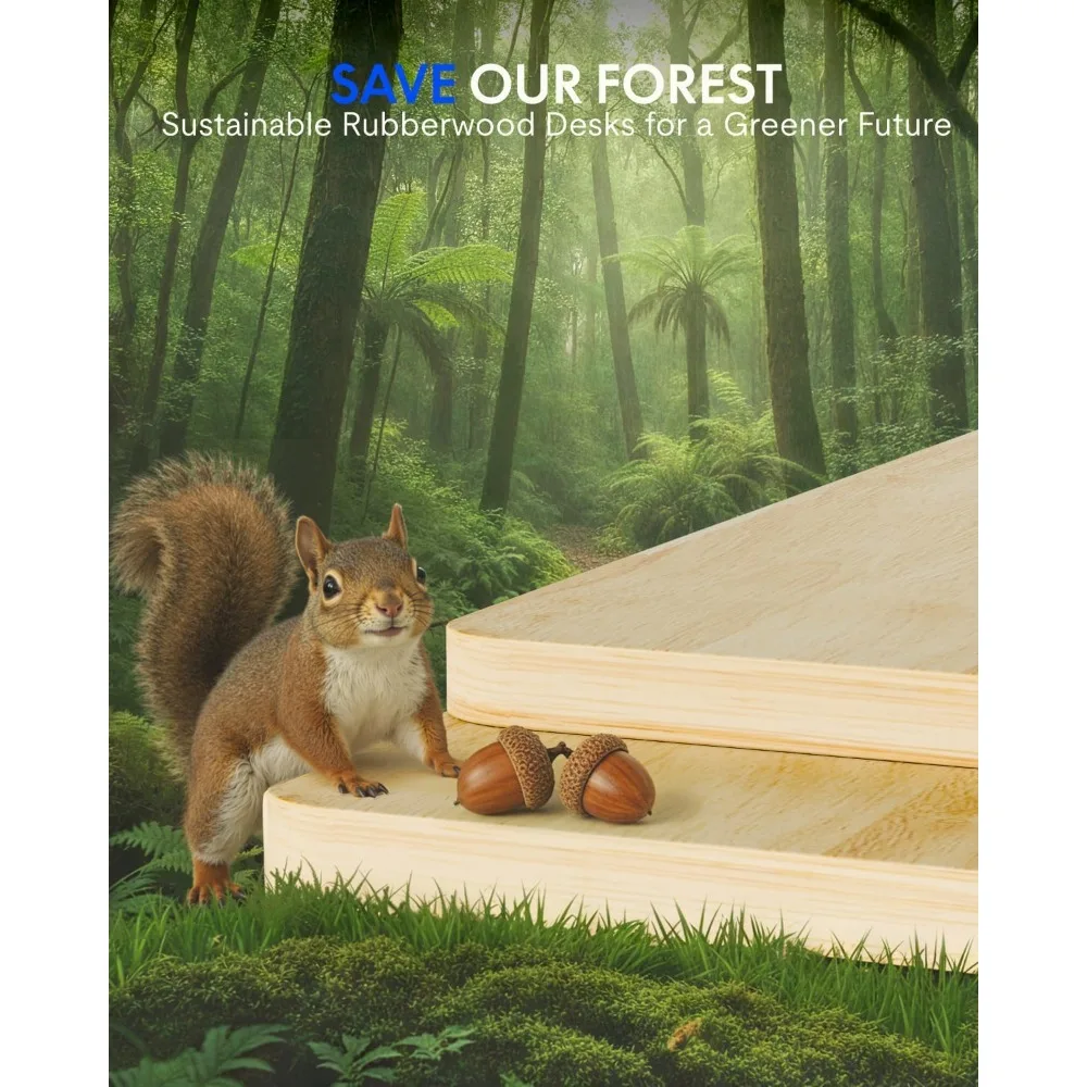 FLEXISPOT Bureau debout en boi - Desk Setup Natural avis et prix